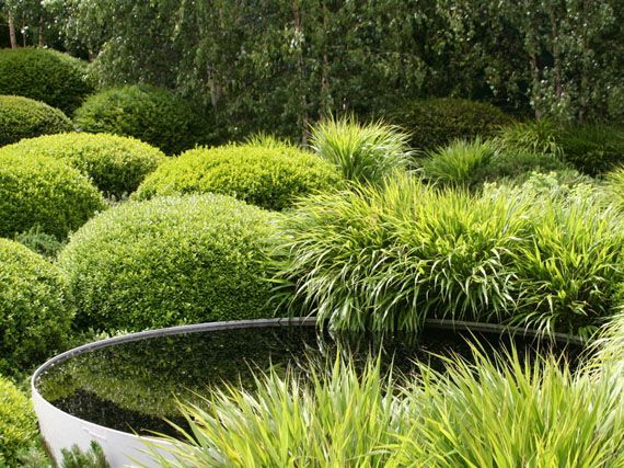 Jardines verdes: a mayor gloria de las perennes (1� parte)